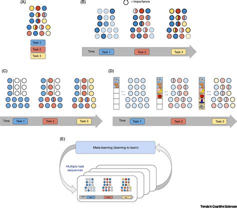 Embracing Change Continual Learning In Deep Neural Networks Trends In