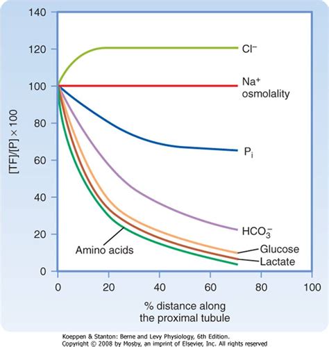 Solute And Water Transport Along The Nephron Tubular Function Berne And Levy Physiology 6th Ed