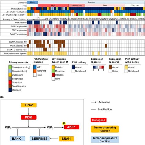 Curated Pathways A Genetic Alterations And Expression Modulations Download Scientific Diagram