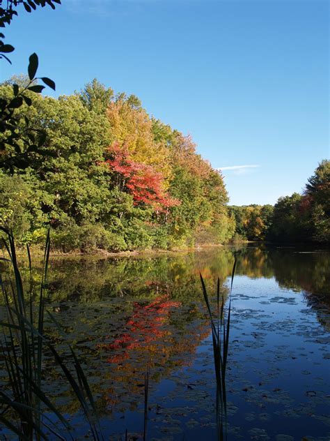 Fall Foliage - New England