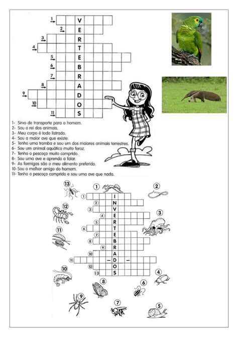 Atividades Sobre Animais Vertebrados E Invertebrados 3 Ano Rectory