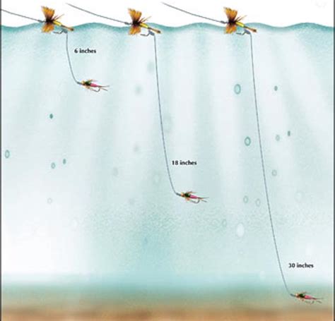 Video Pro Tips How To Rig A Dry And Dropper Orvis News