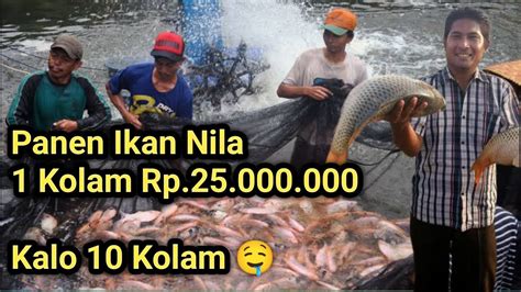 Mantap Satu Kolam Bisa Menghasilkan Juta Youtube