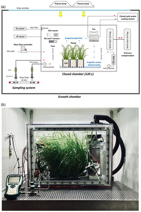 Bg Determination Of Respiration And Photosynthesis Fractionation