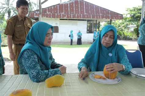 Tp Pkk Kabupaten Asahan Ikut Gerakan Tanam Cabai Serentak Portal