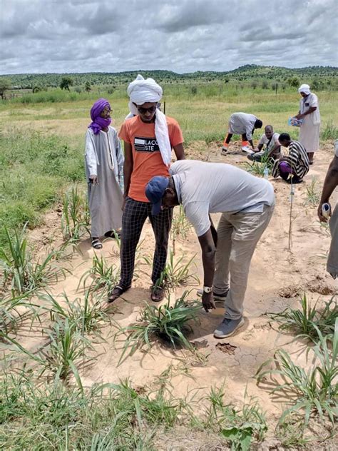 Open Enabel Belgian Development Agency En Mauritanie On Renforce