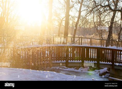 Calgary Zoo Alberta Stock Photo Alamy