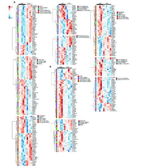 Heat Maps Of Differentially Expressed Genes Fdr Between Lar And