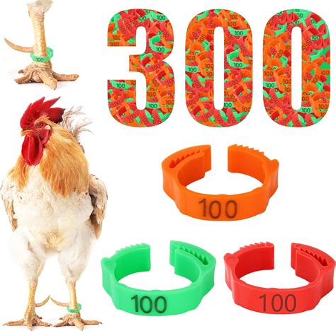 Amazon Eatheaty Pcs Chicken Leg Bands With Colors Numbered