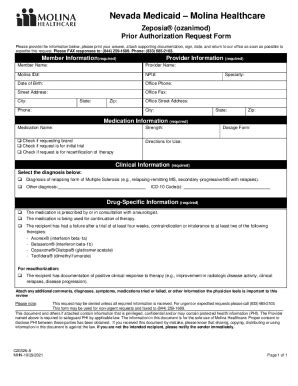 Fillable Online Molina Medicaid Prior Authorization Form Fax Email