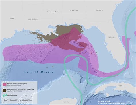 Bp Oil Spill Map Noaa