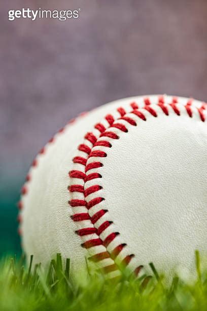 Close Up Of A Baseball Sitting In The Outfield Grass Of A Stadium 이미지 1130180174 게티이미지뱅크