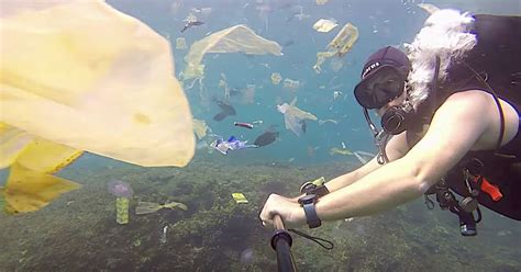 Divers Video Shows Horrifying Pollution Near Bali Huffpost Impact