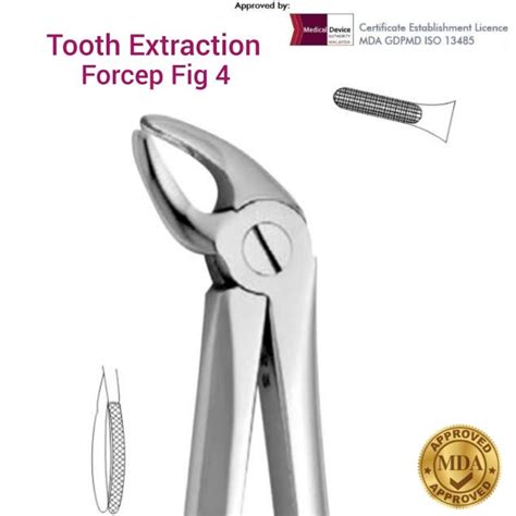 Dental Tooth Extraction Forceps Fig Upper Incisors Canines Adult