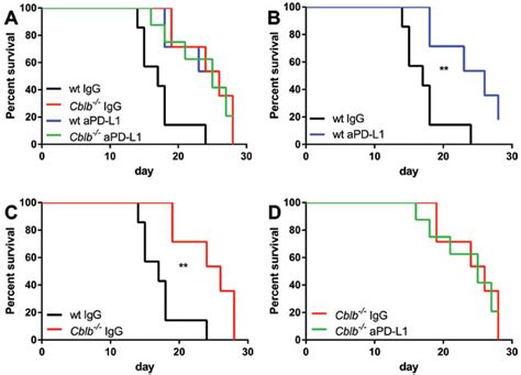 Cblb Deficient T Cells Are Less Susceptible To Pd L1 Mediated Inhibition Oncotarget