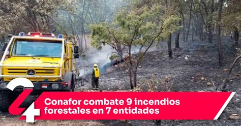 Conafor Combate 9 Incendios Forestales En 7 Entidades Noticias24siete