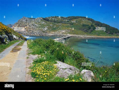 Path and lagoon. Cies Islands, Atlantic Islands National Park ...