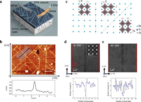 Structure Characterization Of Nanoscale Network Of Electronic Phase