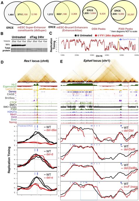 Identifying Cis Elements For Spatiotemporal Control Of Mammalian Dna