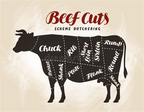 Beef Cuts Template Menu Design For Restaurant Cafe Stock Vector