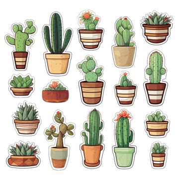 Aesthetic Sticker Cactus Plan Collection Aesthetic Sticker Cactus