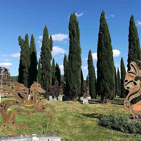 Pasqua E Pasquetta Al Parco Darte Pazzagli A Firenze