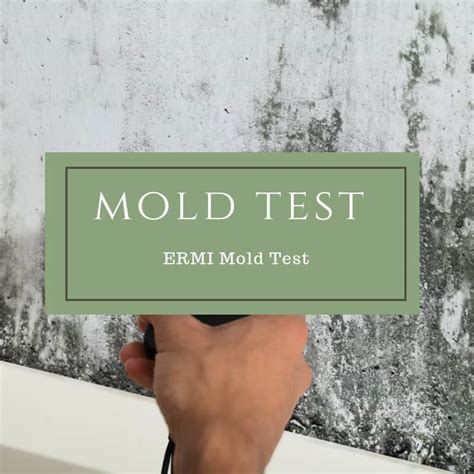 Ermi Home Mold Test Dr Mindy Pelz Reset Your Health Nutrition