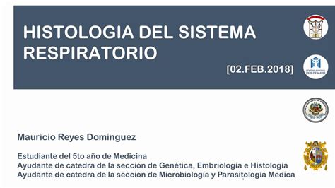 HISTOLOGIA DEL SISTEMA RESPIRATORIO Un Poco De Cursos UDocz