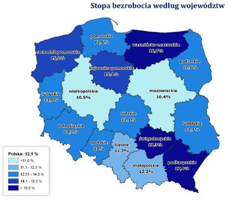 Narodowy Spis Powszechny 2011 Wyniki EGospodarka Pl Raporty I