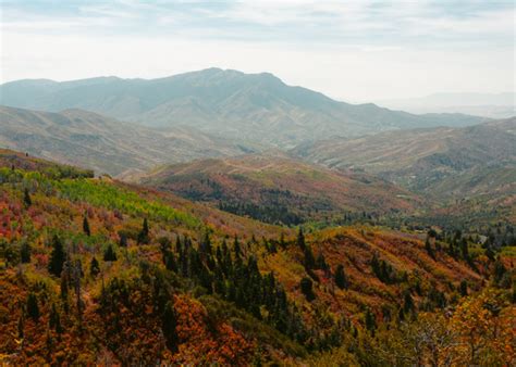 Guide To Driving Nebo Loop Scenic Byway In Utah