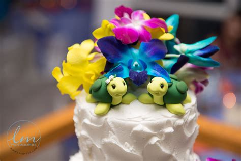 Tampa Bay Weddings Sea Turtles Turtle Wedding Cake Beach Wedding