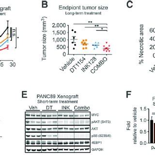 The Greatwall Endosulfine PP2A B55 Pathway Connects TORC1 With The