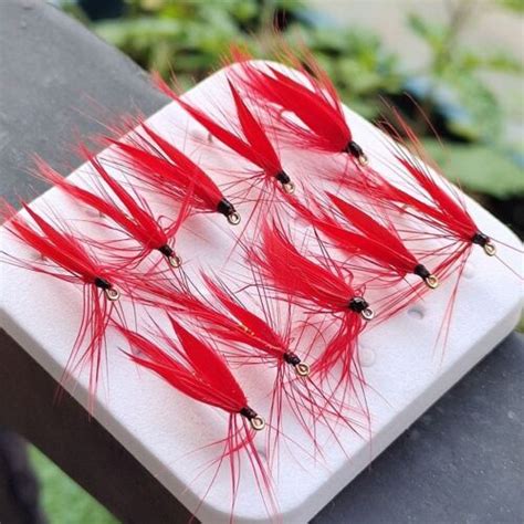 Attractive Mayfly Lure 10pcs Fly Fishing Bait Wet Fly Bait For Bass