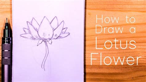 How To Draw A Lotus Flower Step By Step For Beginners Youtube