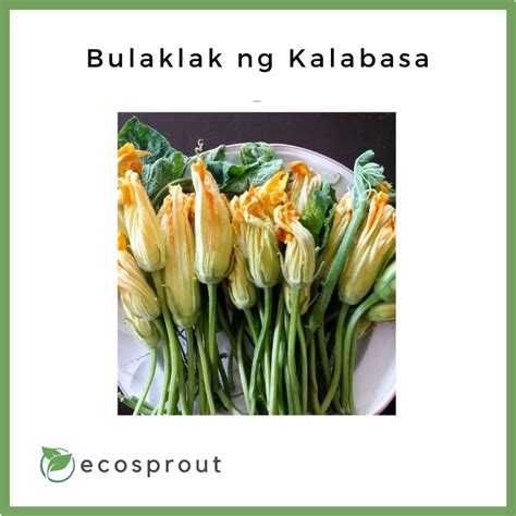 Bulaklak Ng Kalabasa Recipe A Flavorful Delight Baked Ideas