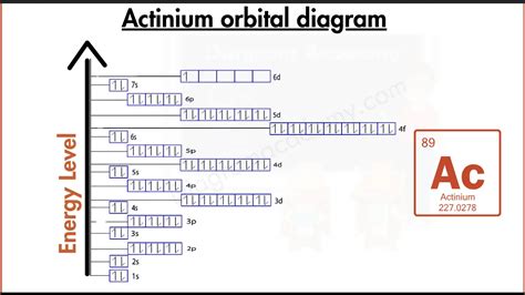 Human Brain Anatomy Diagram with Labells