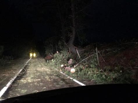 Derriban Rboles E Instalan Barricadas En Ruta Que Une Collipulli Con