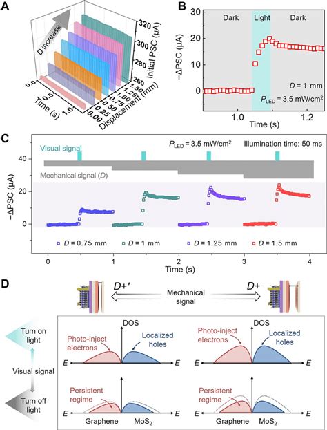 Mechano Photonic Artificial Synapse Based On Gr MoS 2 Heterostructure