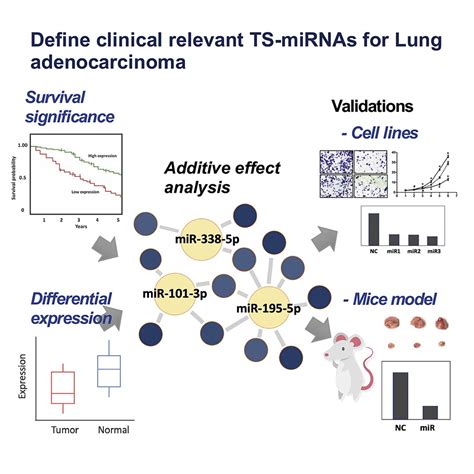 Systematic Identification Of Clinically Relevant Mirnas For Potential Mirna Based Therapy In