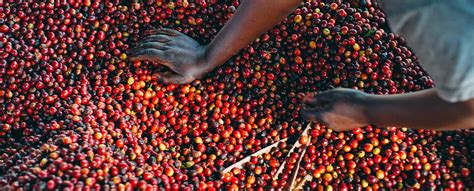 Maldaner Coffee Club Start Exploring