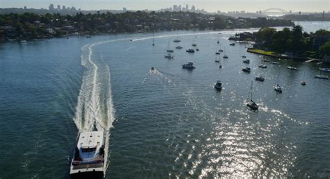 More Ferry Services for Parramatta River – Sydney Olympic Park Business ...