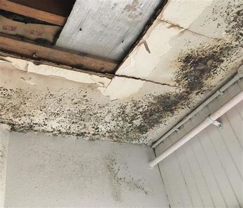 Mold Damaged Home Before And After Photo