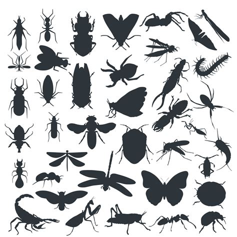 Insect SVG Bundle Cute Bugs Silhouette Vintage Garden Bugs Etsy Canada