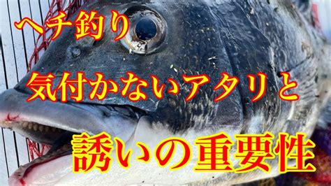 ヘチ釣り気付かないアタリと誘いの重要性【チヌ釣り 黒鯛 落とし込み】 釣り動画