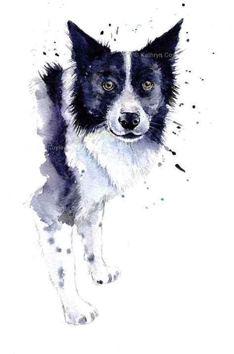 Border Collie Watercolour Watercolor Dog Black Dog Border Collie