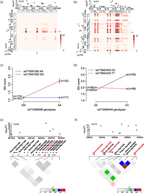 Epistatic Interactions Between Soybean Chromosome 3 Gm03 And