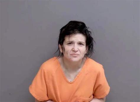 Woman Accused Of Shooting Man In Face On New Years Eve In Monroe County News Sports Jobs