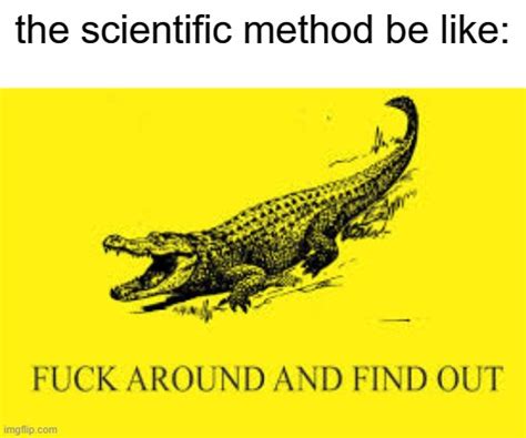 Fuck Around And Science Out R Memes