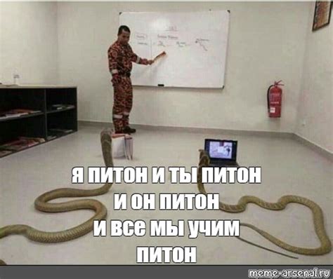 Мем: "я питон и ты питон и он питон и все мы учим питон" - Все шаблоны ...