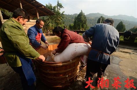 溆浦年俗——杀年猪 大拼盘 新湖南